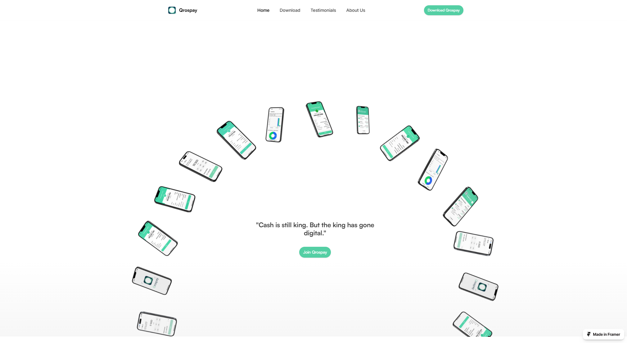 Qrospay Landing Page - Image 4